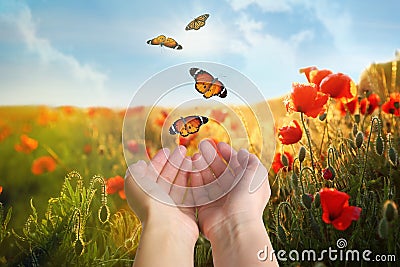 Woman releasing butterflies in field on sunny day. Freedom concept Stock Photo