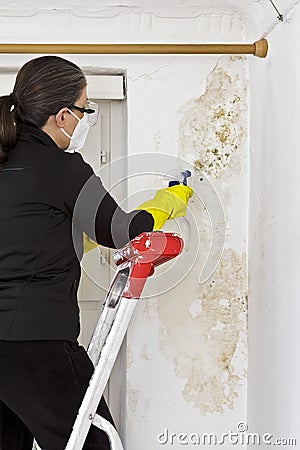 woman removing mold mildew wall Stock Photo