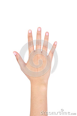 Woman right hand showing the five fingers isolated. Stock Photo