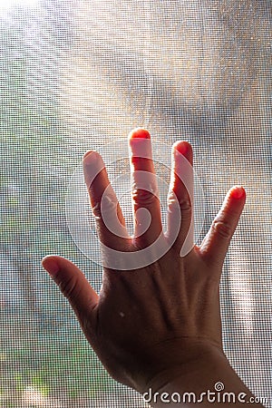 Woman right hand touching dust Dirty mosquito wire screen window, Light & Shadow shot, Silhouette, Close up shot Stock Photo