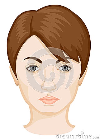 The woman`s face Vector Illustration