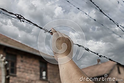 A woman`s hand grasping barbed wire Stock Photo