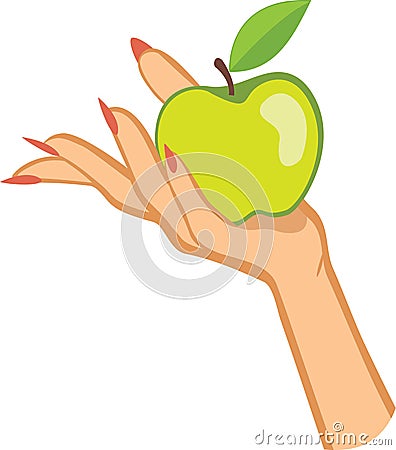 Woman's hand holding apple . illustration Vector Illustration