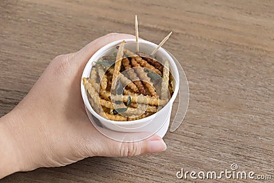 Woman`s hand holding disposable cup which containing Bamboo Caterpillar, Worm fried crispy for take-away. Food Insects for eating Stock Photo