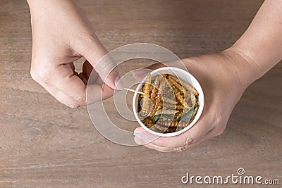 Woman`s hand holding disposable cup which containing Bamboo Caterpillar, Worm fried crispy for take-away. Food Insects for eating Stock Photo