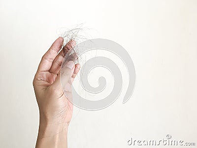 Woman`s hand is holding her hair loss. Stock Photo