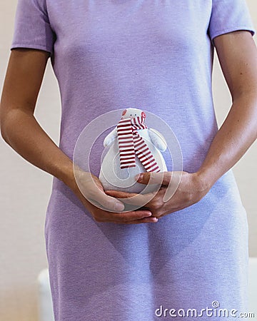 Woman`s hand holding textile snowman Stock Photo