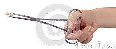 A woman`s hand holds a child`s molar tooth in a clamp. Studio photo isolated on white background Stock Photo