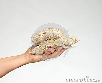 Woman`s hand holds a transparent bag with oatmeal Stock Photo