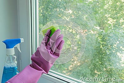 Woman`s hand in a lilac rubber glove wipes a glass unit window in a room with a sponge Stock Photo