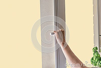A woman`s hand opens a window for airing room. window with curtain Stock Photo