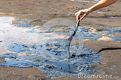 A woman`s hand stirring liquid asphalt with a wooden stick at Pitch Lake, La Brea, Trinidad island, Trinidad and Tobago Stock Photo