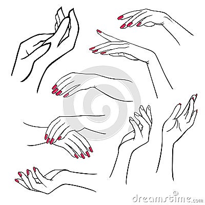 Woman`s hands set Vector Illustration