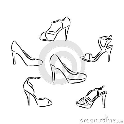 Woman`s shoe, vector sketch, women`s Shoe, vector sketch illustration Cartoon Illustration