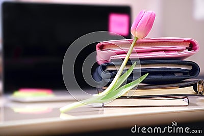 Woman`s work place. Computer, tulip flowers birthday 8 march greeting Stock Photo