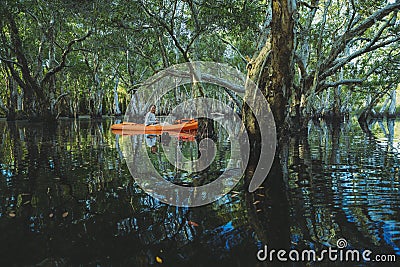 Woman sailing sea kayak at mangrove forest canal Stock Photo