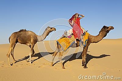 Woman in a sari riding a camel train. Stock Photo