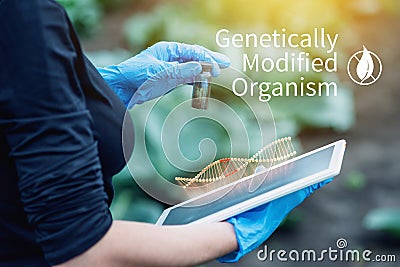 Woman scientist genetic engineer testing the plant for the presence of genetic modification. Organisms polluted with GMO Stock Photo