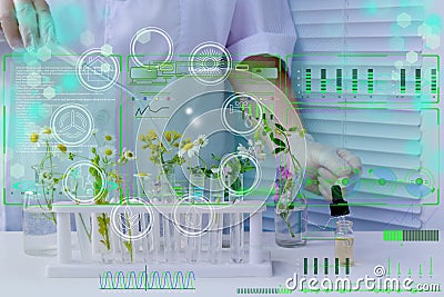 Woman scientist prepares sample of plants for analysis in university laboratory, studies plant dna, concept science, chemistry, Stock Photo