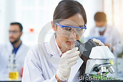 Woman scientist research looking microscope marijuana chemical extract Stock Photo