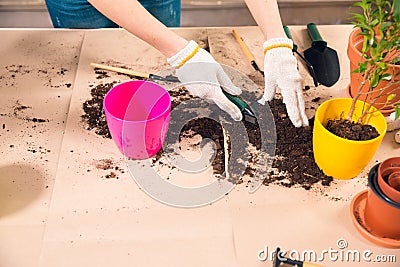 Woman with shovel, soil, flowerpots and plant on table Stock Photo