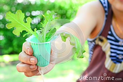 Woman show hydroponic vegetable grown at home. Stock Photo