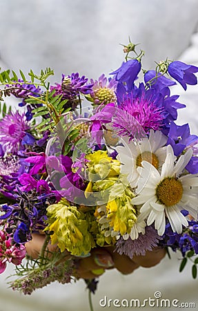 Woman show a natural floreal bouquet with different flowers and colors - concet of nature and environment - people and daisies Stock Photo