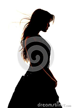 Woman silhouette formal dress close Stock Photo