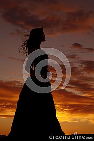 Woman silhouette formal dress hair blow Stock Photo