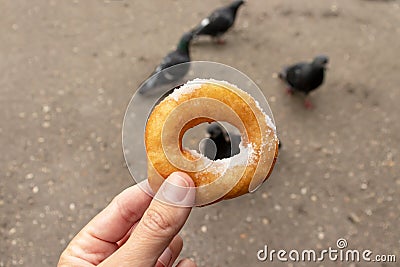 Woman sitting on a bench in park and holding beignet pastry, donut in hand, blurred pigeons on background, street fast food Stock Photo