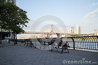 Woman Sitting on a Bench in Sutton Place Park South by the East River in New York City Editorial Stock Photo