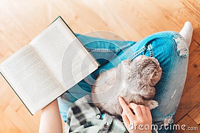 A woman is sitting on the floor, holding a rabbit on her lap and reading a book. View from the top. Concept of reading and Stock Photo