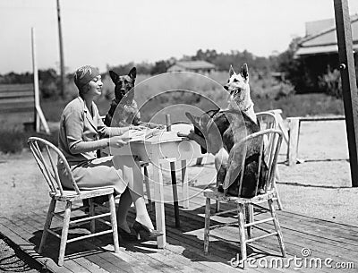 Woman sitting at table outside with three dogs Stock Photo