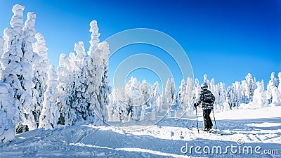 Woman skier enjoying the winter landscape of snow and ice covered trees Stock Photo