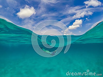 Woman Snorkelling Curacao views Stock Photo