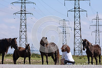 Woman speaking with herd of wild ponies called `Asturcones` with huge electric posts in the background. Stock Photo