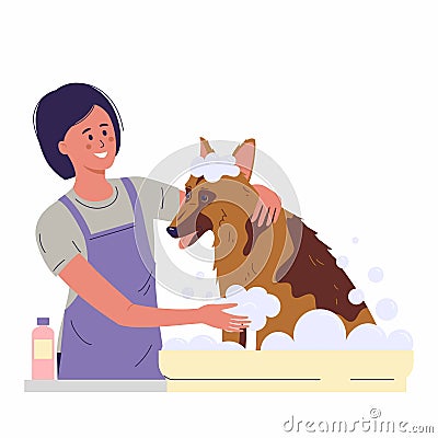 Woman specialist of grooming salon bathing dog Vector Illustration
