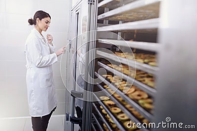 Woman Specialist in Food Quality and Health Control Checking Apples Stock Photo