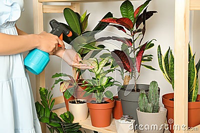 Woman spraying indoor plants near wall at home Stock Photo