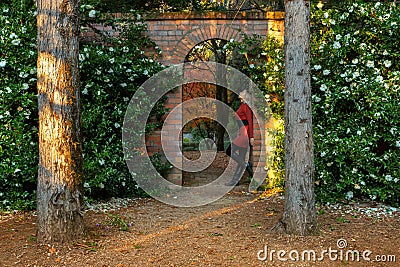 Woman standing in beautiful stone garden arch Stock Photo