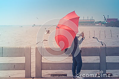 Woman standing on concrete bridge, she holding red umbrella and taking photo seagulls at Bangpu Recreation Center. Stock Photo