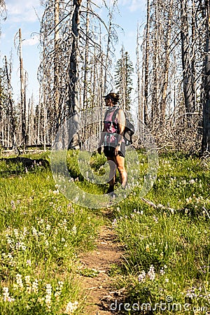 Woman Stops to Look Around on the pacific crest trail Stock Photo