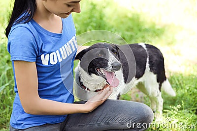 Woman stroking homeless dog. Concept of volunteering Stock Photo