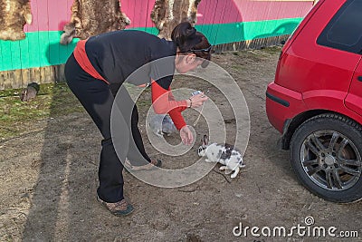 Woman stroking a rabbit. Nature love and vegan concept Stock Photo