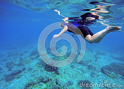 Woman swimming with sea turtle. Tropical sea background. Stock Photo