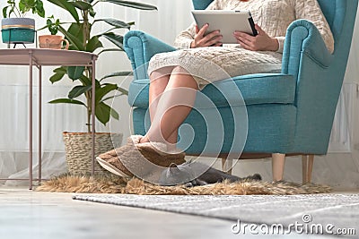 A woman sits on an armchair in the room and holds a tablet in her hands, at her feet in slippers lies a gray cat on a shaggy rug Stock Photo