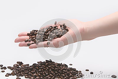 Woman taking coffe beans with her hand Stock Photo