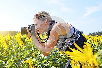 Woman taking photos of sunflower field Stock Photo