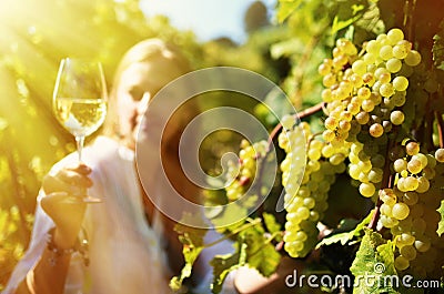 Woman tasting wine. Stock Photo