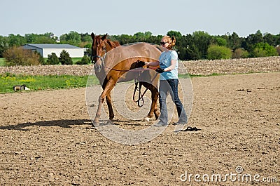 Woman training horse Stock Photo